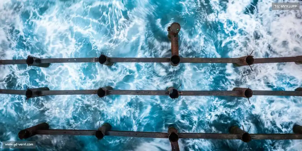 PG国际运动点燃热血，每一步都是超越！🏃♂️