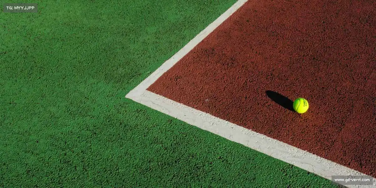 为什么选择我们